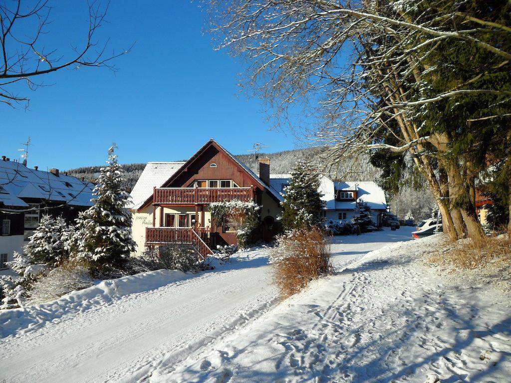 Pension Andante Špindlerŭv Mlýn Exterior foto